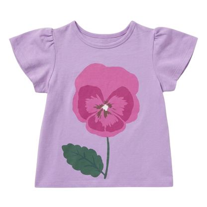 Little Princess Highway pansy set - size 2 image 1