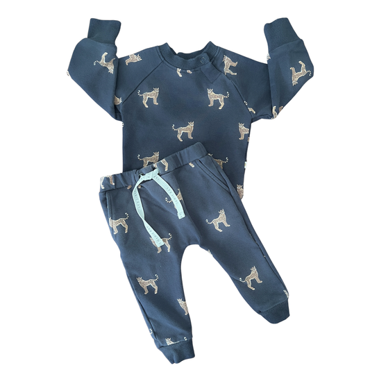 Jamie Kay Alex top + pant in cheetah print - size 000
