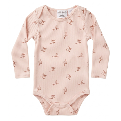 Wilson and Frenchy organic rib bodysuit - size 00 image 0