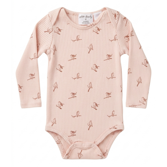 Wilson and Frenchy organic rib bodysuit - size 00 image 0