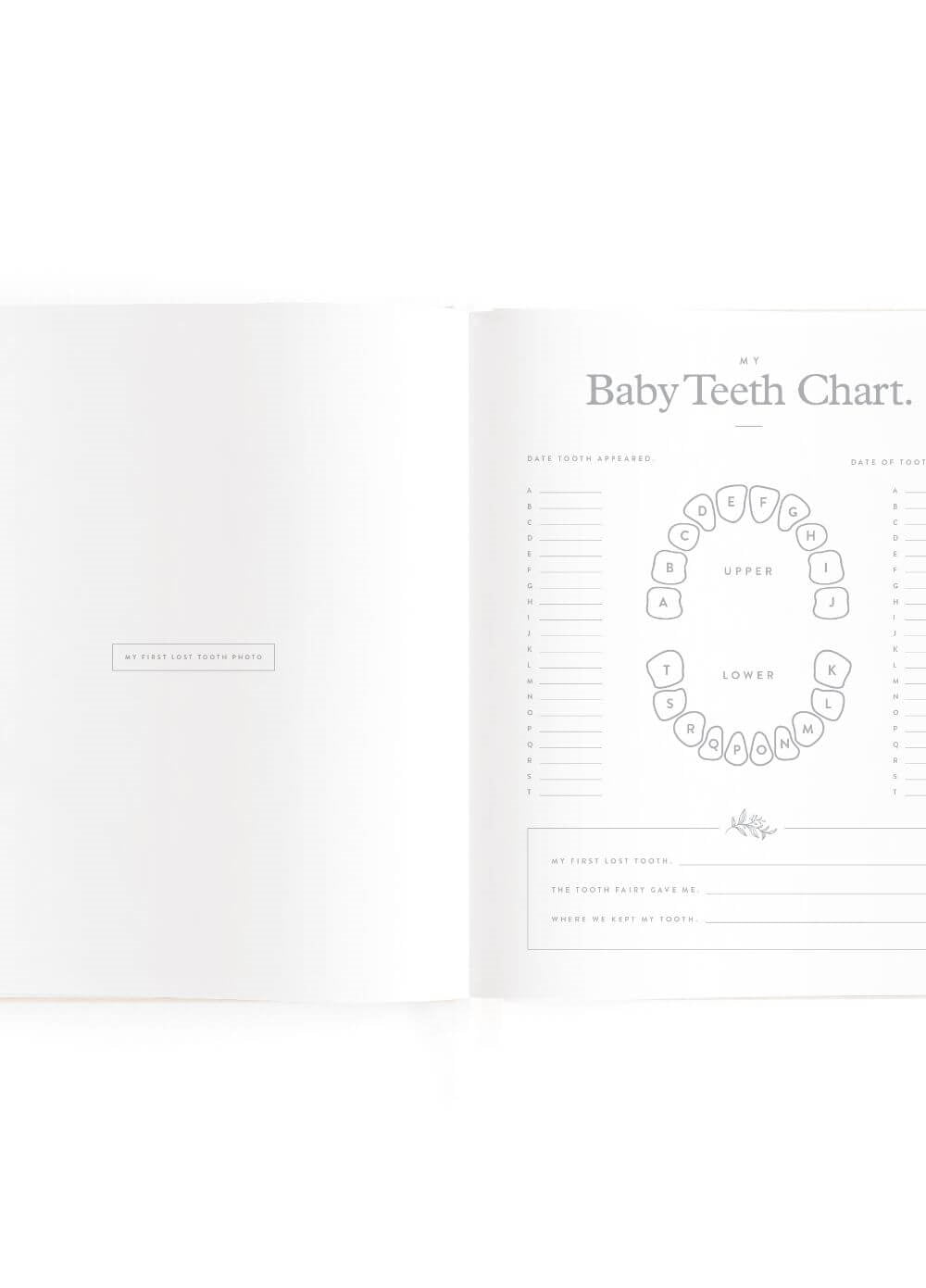 Fox and Fallow baby milestones book years 0-6 - oatmeal image 4